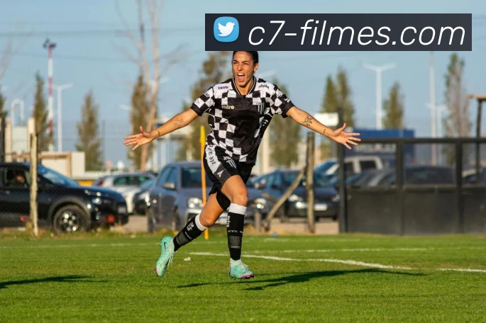 c7娱乐平台生态图